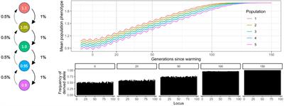 Drivers of adaptive capacity in wild populations: Implications for genetic interventions